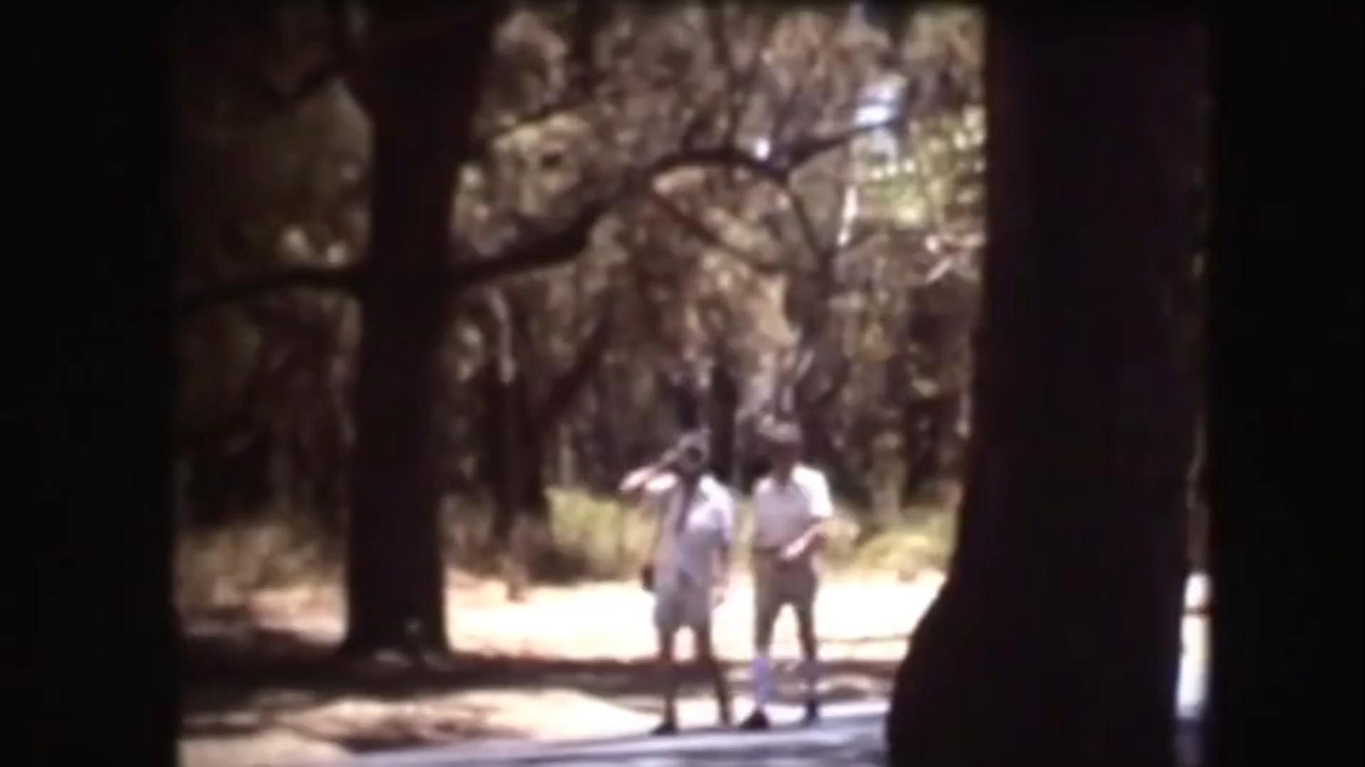 Seeleys at Kings Park - Don and Joyce's first visit to Perth